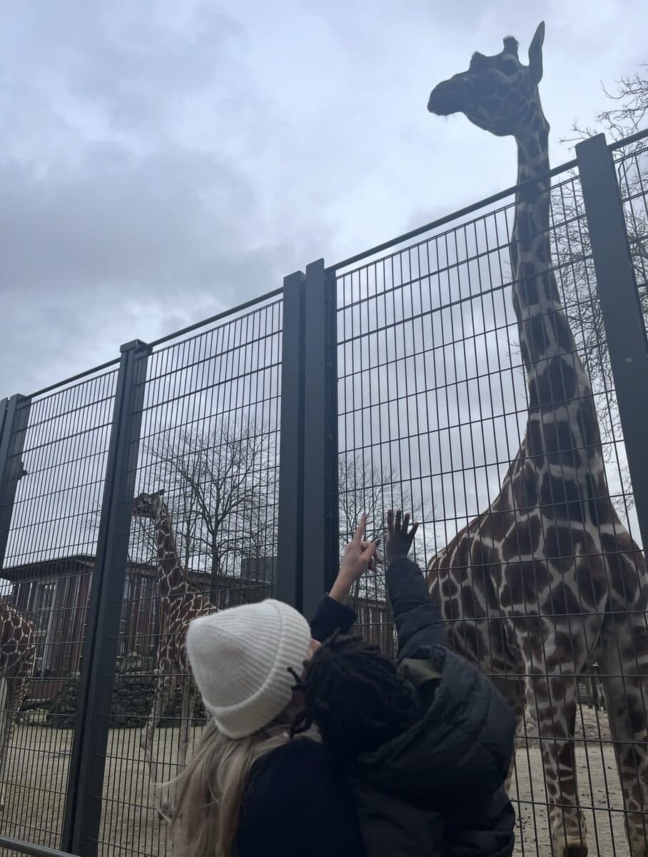 Een begeleider en een kind steken hun hand uit naar een giraf in de dierentuin